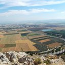 ���� ����� ���������, ����-����, 43 ���� - ��������� 29 ��� 2018 � ������ ���� ����������