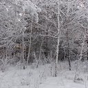 ���� ���������, �������, 52 ���� - ��������� 2 ������ 2018 � ������ �� ����� 2018 �����!!!�