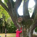Valmiera �� ������� ���� ����������