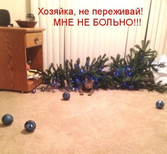   - 5  2018  19:18