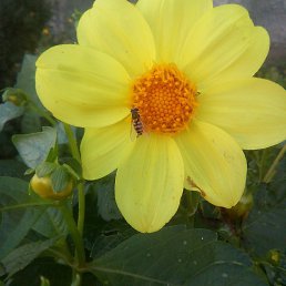 ������, ������, 40 ���