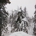 ���� ������, �������, 33 ���� - ��������� 8 ������ 2018 � ������ ������ ��������