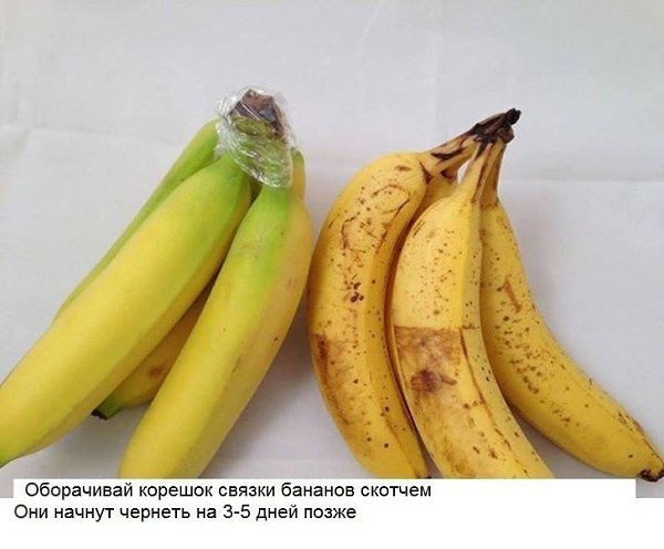 10 хитрых кухонных лайфхака, о которых не знает даже твоя мама. - 10