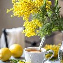  Sergey,   -  24  2018    