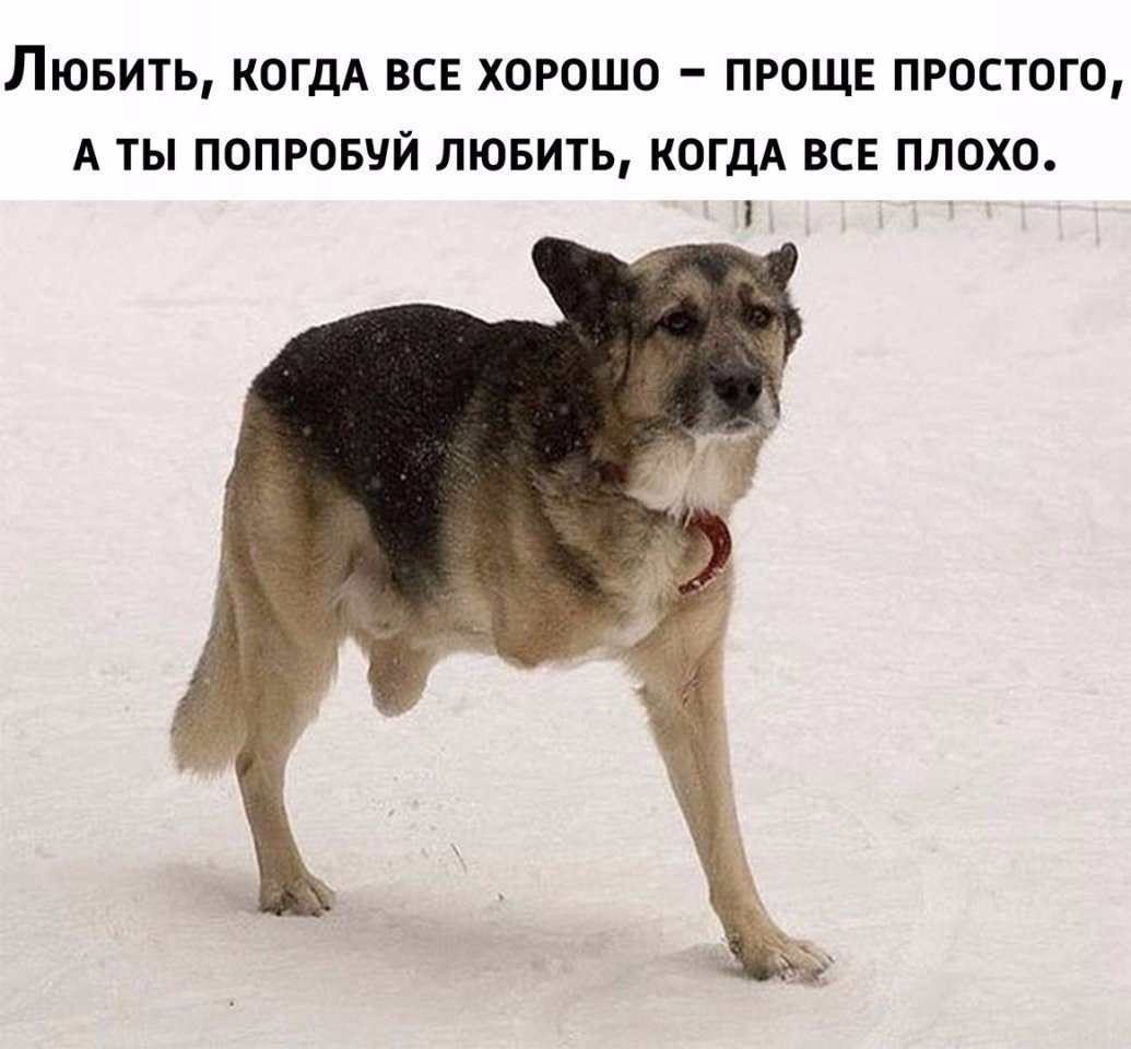   - 1  2018  06:39