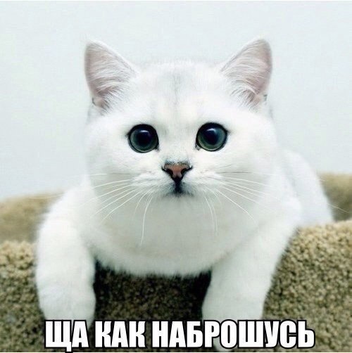   - 7  2018  14:43