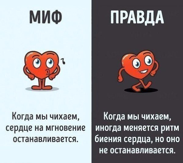 10    ,   . - 7