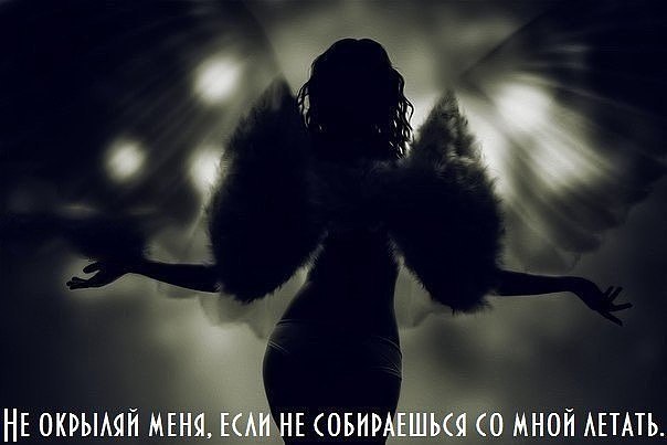 ***Victoria Viktorovna*** - 3  2017  12:49