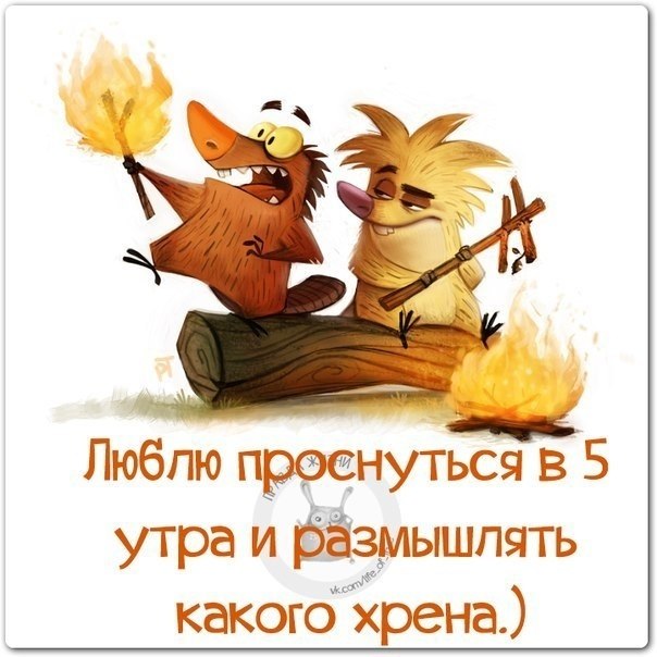   - 13  2018  16:42