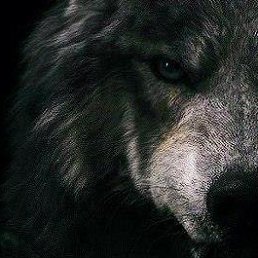 ���� �������, �������������, 44 ���� - ��������� 24 ������� 2018