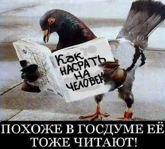 -      ? -  .