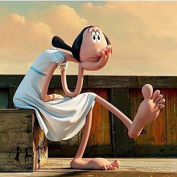  -   -  ,   ...