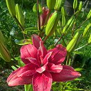 ���� Soledad, ����� - ��������� 18 �������� 2018 � ������ ���� ����������