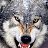 ���� Wolf, ������� - ��������� 17 ������� 2019