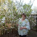 ���� �����, ������ �������� - ��������� 7 ������� 2019 � ������ ���� ����������