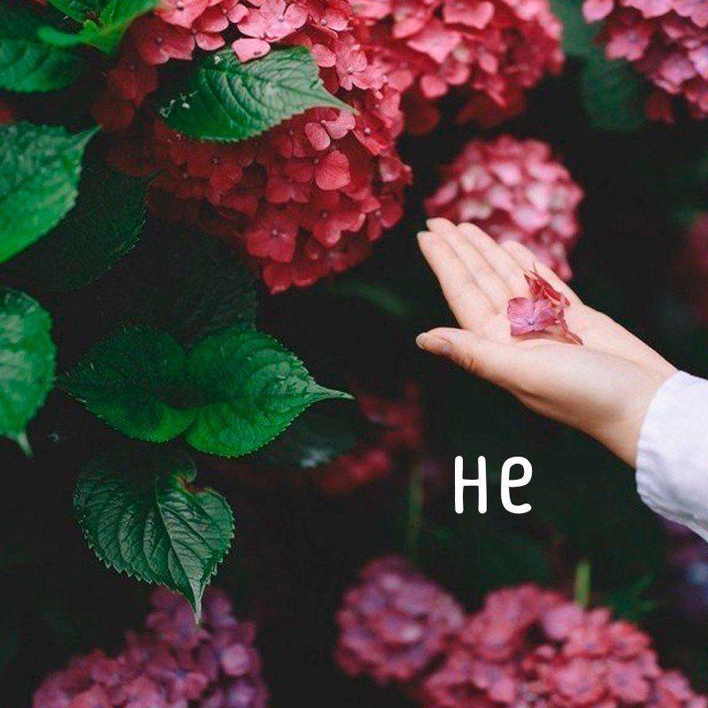   - 8  2018  16:38 - 4