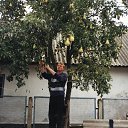 ���� �����, �����-���������, 50 ��� - ��������� 2 ������� 2018