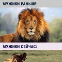 ���� *** ����, �����-��������� - ��������� 5 ������� 2018 � ������ ������ ��������