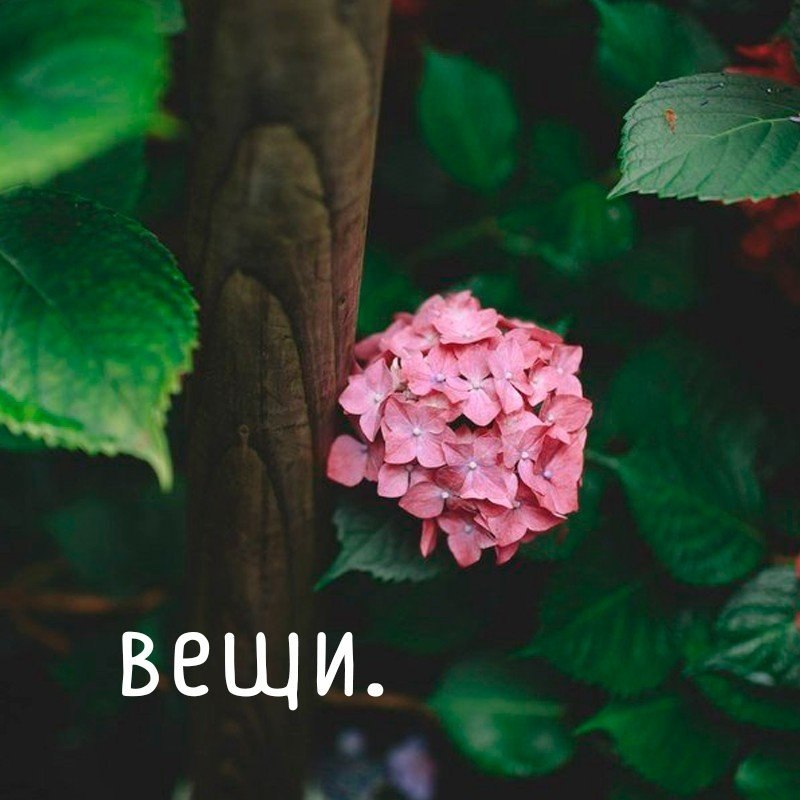   - 8  2018  16:38 - 5
