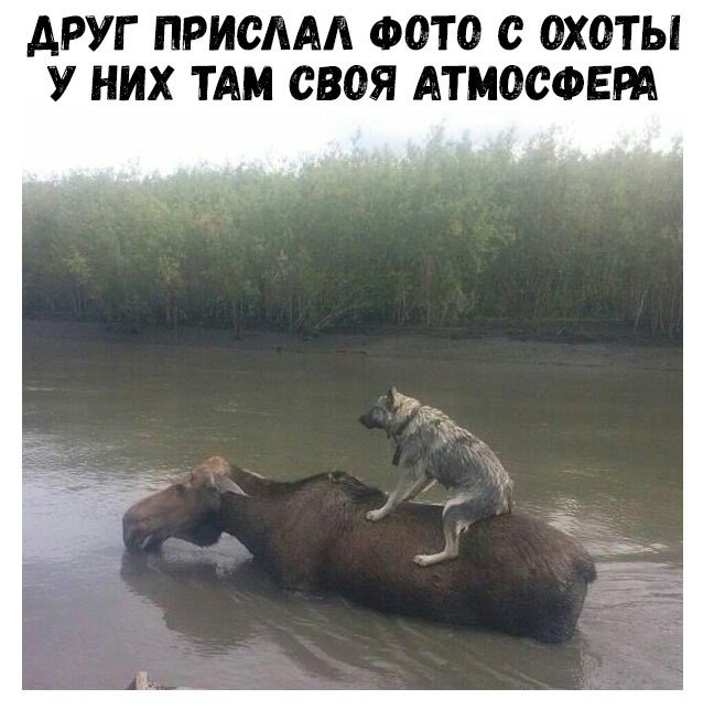    :D - 21  2018  16:40