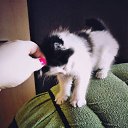 ���� �����, ������ - ��������� 16 ������� 2018 � ������ ���� ����������