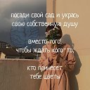  ,  , 51  -  12  2019    