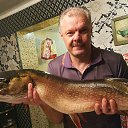 ���� ��������, ������, 59 ��� - ��������� 11 �������� 2018 � ������ ���� ����������