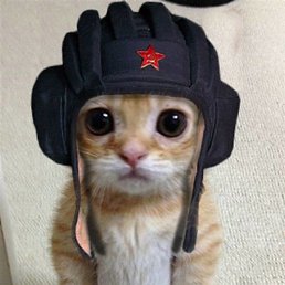 ��, �������, 50 ���