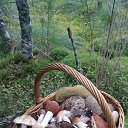 ���� ������ ��������, �����, 52 ���� - ��������� 31 ������� 2018 � ������ ���� ����������