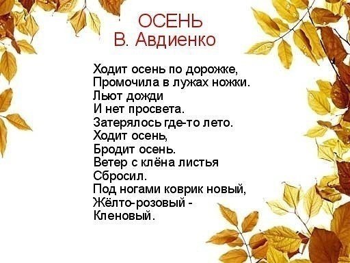      .       . ... - 6