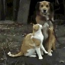  Ukko, - -  10  2018    ,  