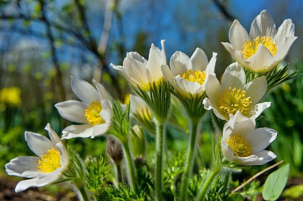    ! "1  -   ,   ,   ...