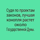 ���� ���������, �������, 45 ��� - ��������� 29 ������� 2018 � ������ ������ ��������