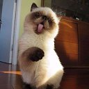  , , 67  -  18  2019   -