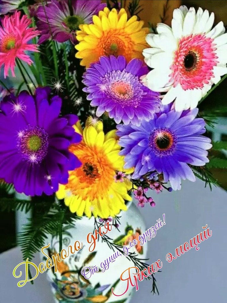   ,    . - 10  2019  15:54 - 2