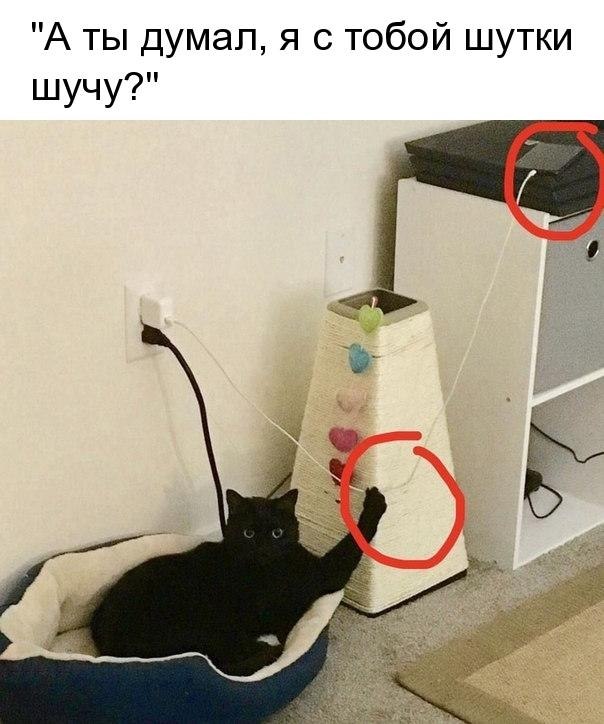   - 1  2018  17:04