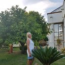  ,   -  14  2018    2018