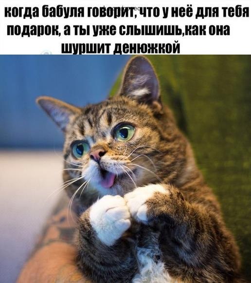   - 28  2019  17:01