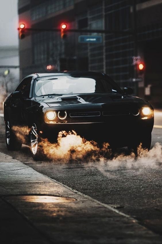 #carngirl@autocult
