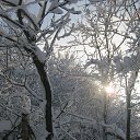 ���� ���������, ���� - ��������� 28 ������� 2018 � ������ �����-��������� ����� ����� �����