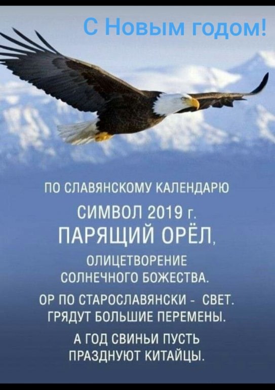 2019  -   .   !