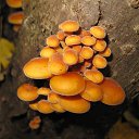 ���� ������, �������, 65 ��� - ��������� 12 ������� 2018 � ������ ������ ��������