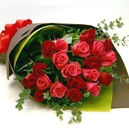 ����, �������, 44 ����