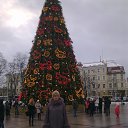 ���� ���������, ������������, 74 ���� - ��������� 12 ������ 2019 � ������ ���� ����������