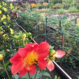 �����, ����������, 58 ���