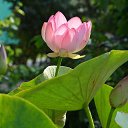 ���� �������, ������� - ��������� 16 ������� 2018 � ������ ���� ����������