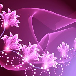  , -, 50  -  15  2019