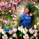 ���� �������, ������, 74 ���� - ��������� 1 �������� 2018 � ������ ���� ����������