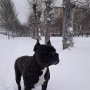  ,  -  29  2018    