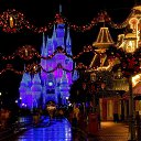 ���� ������, �����-��������� - ��������� 8 ������ 2019 � ������ ������ ��������